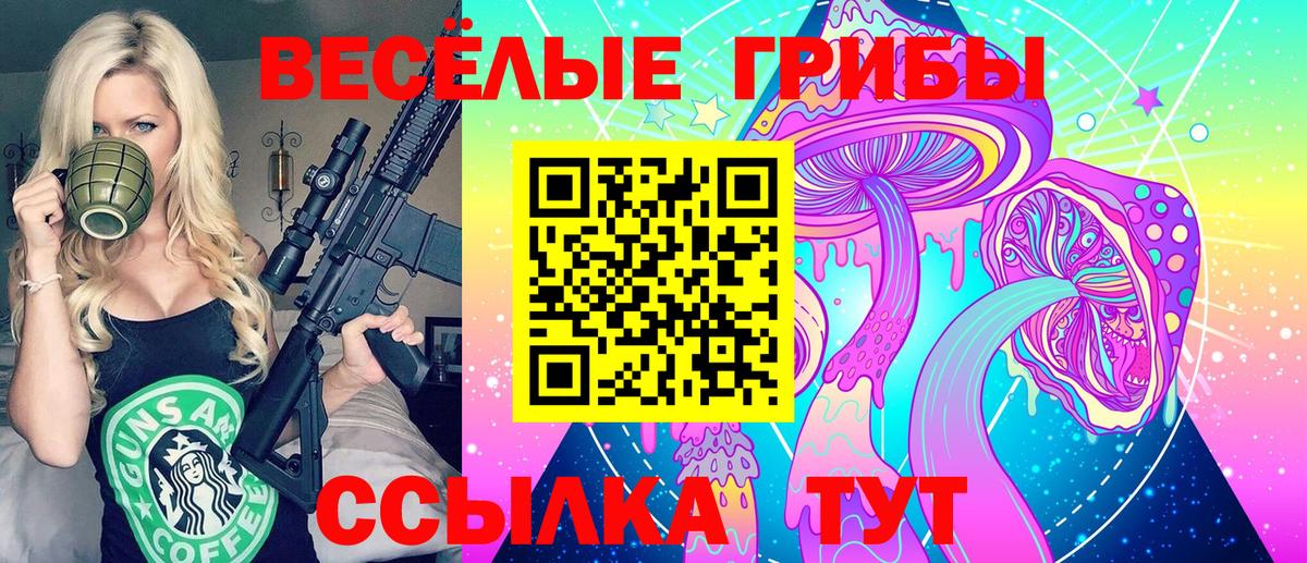 Псилоцибиновые грибы прущие грибы Гурьевск