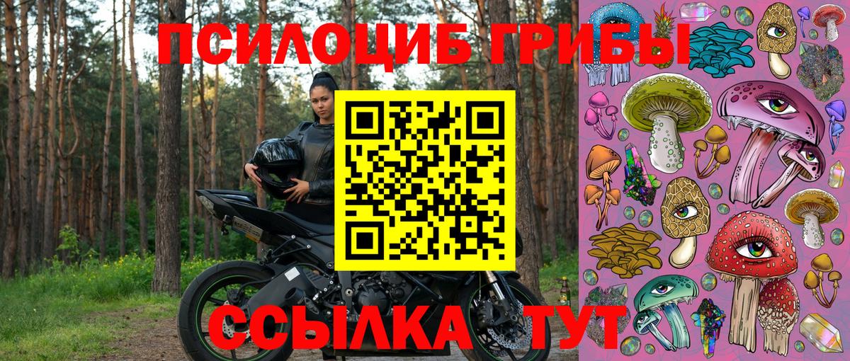 Псилоцибиновые грибы прущие грибы Гурьевск