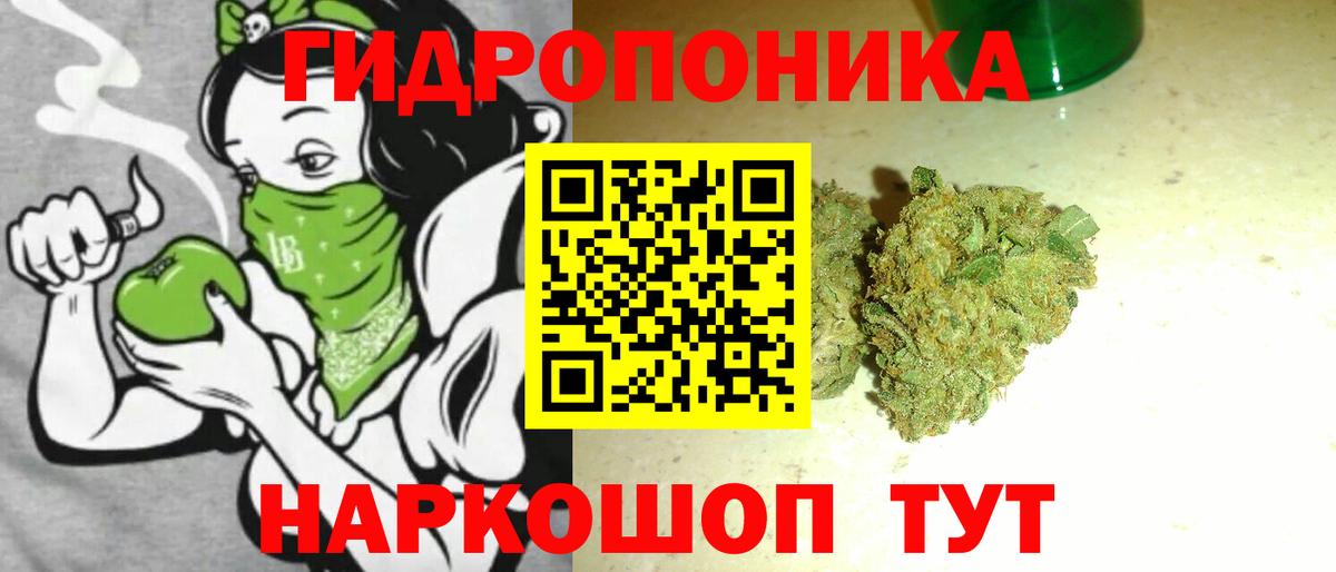 Конопля AK-47 Гурьевск